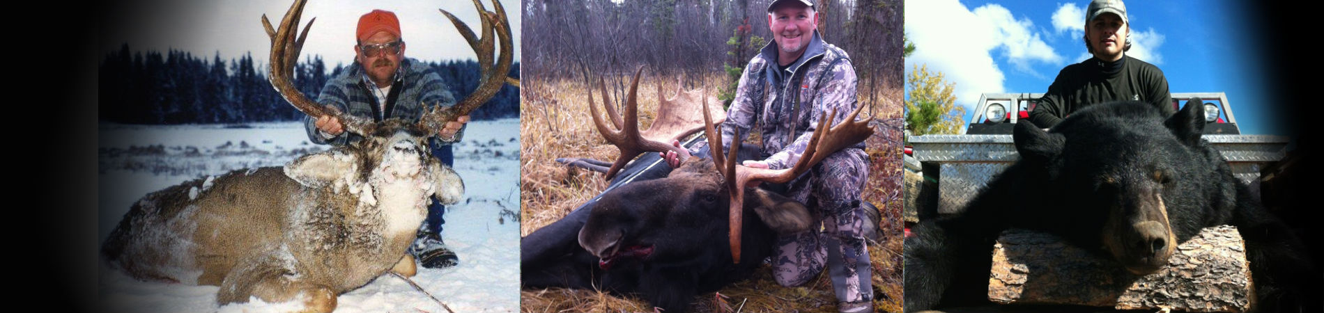 We offer Moose, Bear & Mule Deer Combo Hunts